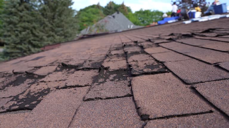 Cold Roofs in Vernonia, OR